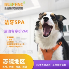 【苏皖阿闻】美容洁牙口腔护理SPA(单次）-苏州，常州，南通，扬州，镇江可用 犬-中度-10kg以上