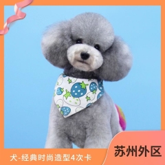 【苏州外区阿闻】经典时尚造型4次卡-犬 犬 0-3kg