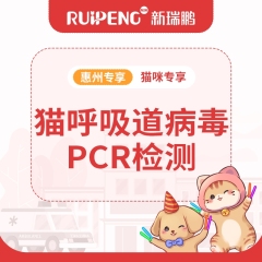 【惠州体检】猫呼吸道病毒PCR检测