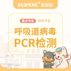 【重庆体检】猫呼吸道病毒PCR检测