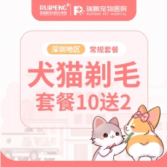 【深圳地区】剃毛10送2 猫咪