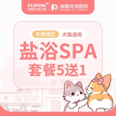 【东莞地区】常规套餐盐浴SPA5送1 犬35-40KG