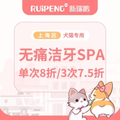 【阿闻上海】宠物微笑计划-无痛洁牙spa