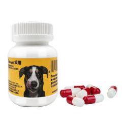 维他宝 犬用立尿通