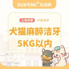 【上海】犬猫麻醉洁牙5kg以内 犬猫麻醉洁牙5kg以内