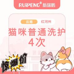 【云南红河】猫咪-普通洗护4次 2-5kg短毛
