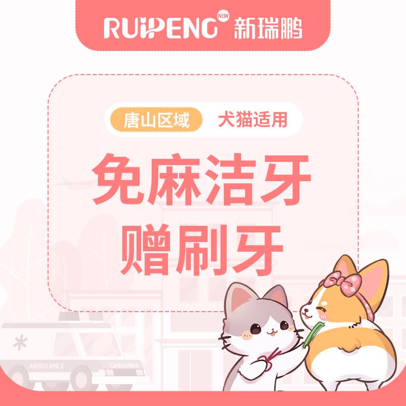 唐山通用丨爱宠口腔除臭套餐