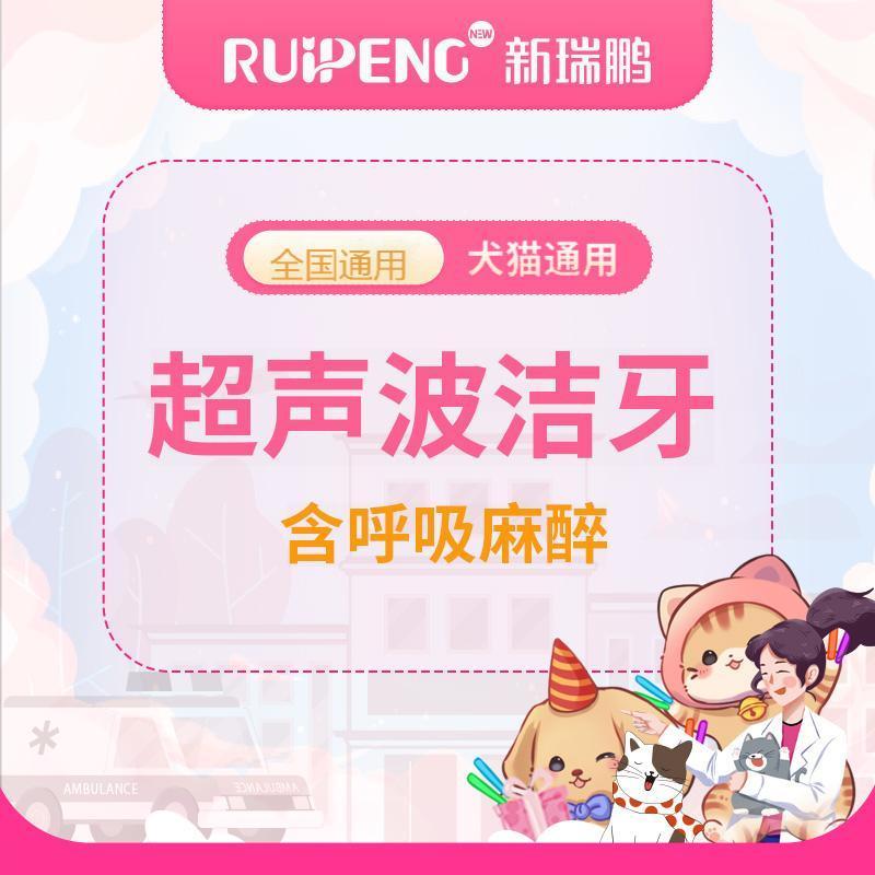 【新瑞鹏全国】犬猫超声波洁牙（含吸入麻醉，0-5kg） 犬猫通用