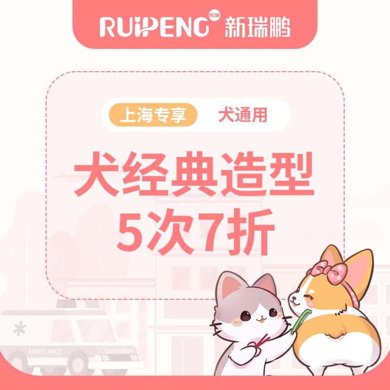 【阿闻上海】618犬经典造型5次7折-市区 10-15kg