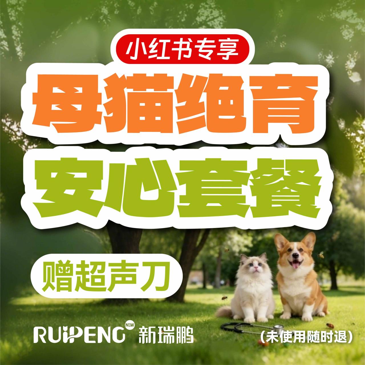 苏皖区犬猫安心绝育（赠超声刀）≤5kg 母猫安心绝育≤5kg