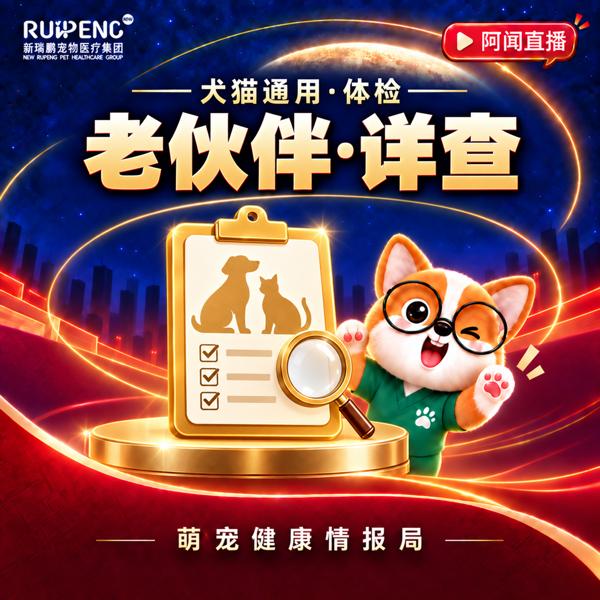 【华西920】老年犬猫专项体检套餐 犬猫心脏专项体检