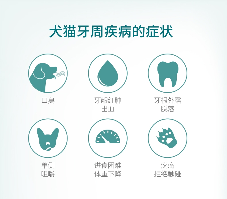 法国维克Virbac C.E.T.小型犬清洁齿片240g 抑菌去口臭