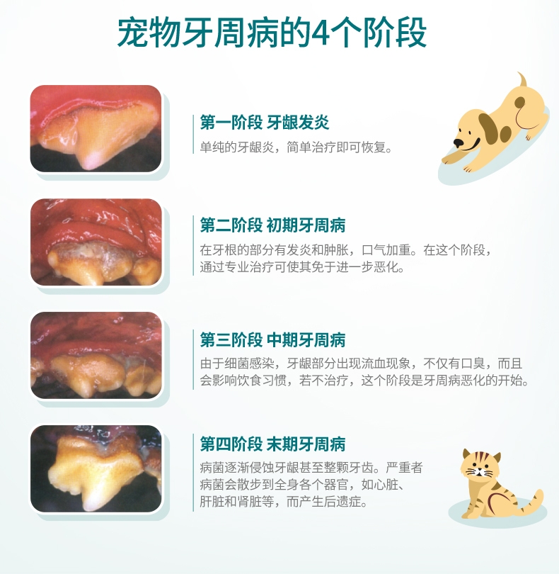 法国维克Virbac C.E.T.小型犬清洁齿片240g 抑菌去口臭