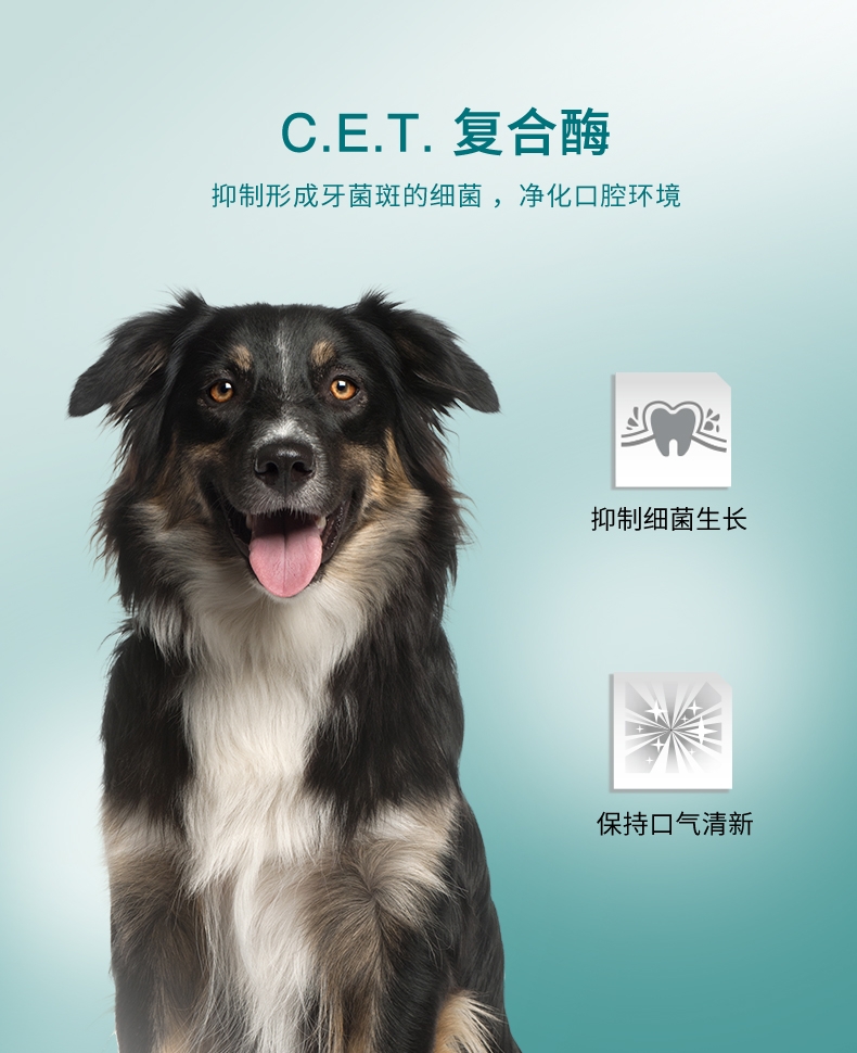 法国维克Virbac C.E.T.小型犬清洁齿片240g 抑菌去口臭