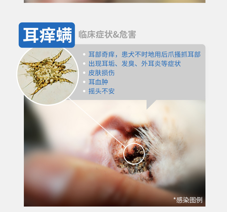 NG详情页-0613-a_09.jpg