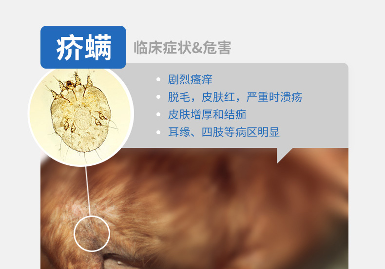 NG详情页-0613-a_10.jpg