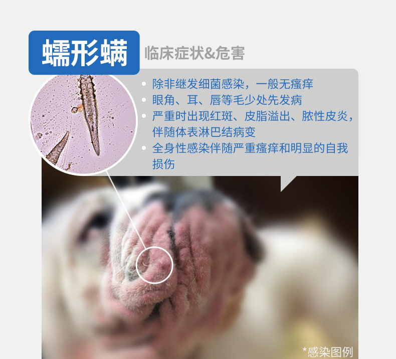 NG详情页-0613-a_08.jpg