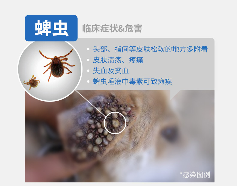 NG详情页-0613-a_07.jpg