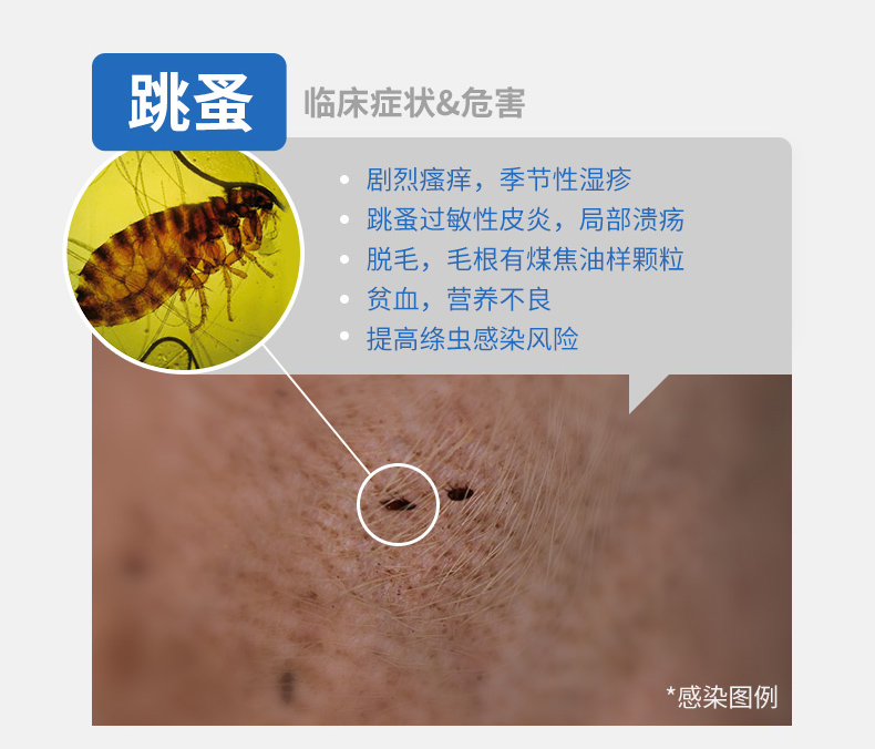 NG详情页-0613-a_06.jpg