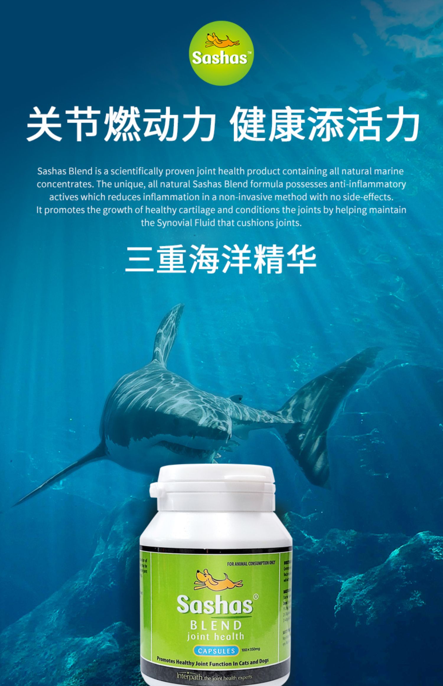 澳洲进口萨沙关节灵100粒100粒